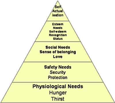 Hierarchy Of Life. hierarchy of needs in life